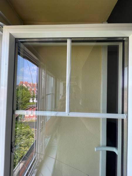 Vitrier pour un remplacement d’un double vitrage avec croisillons sur un châssis Aluminium à la Robertsau 